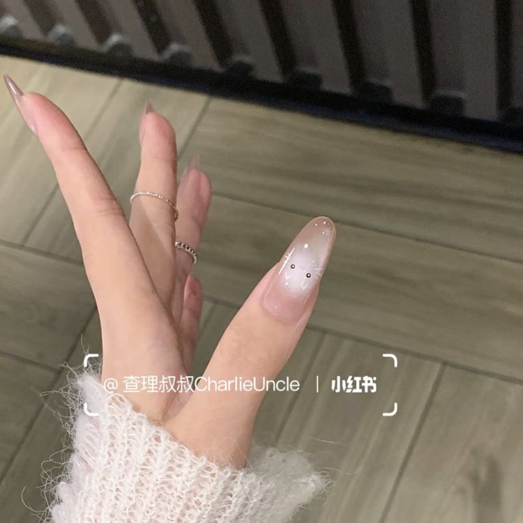10pcs Handmade Icy Kitty Cat-Eye Long Press-On Nails